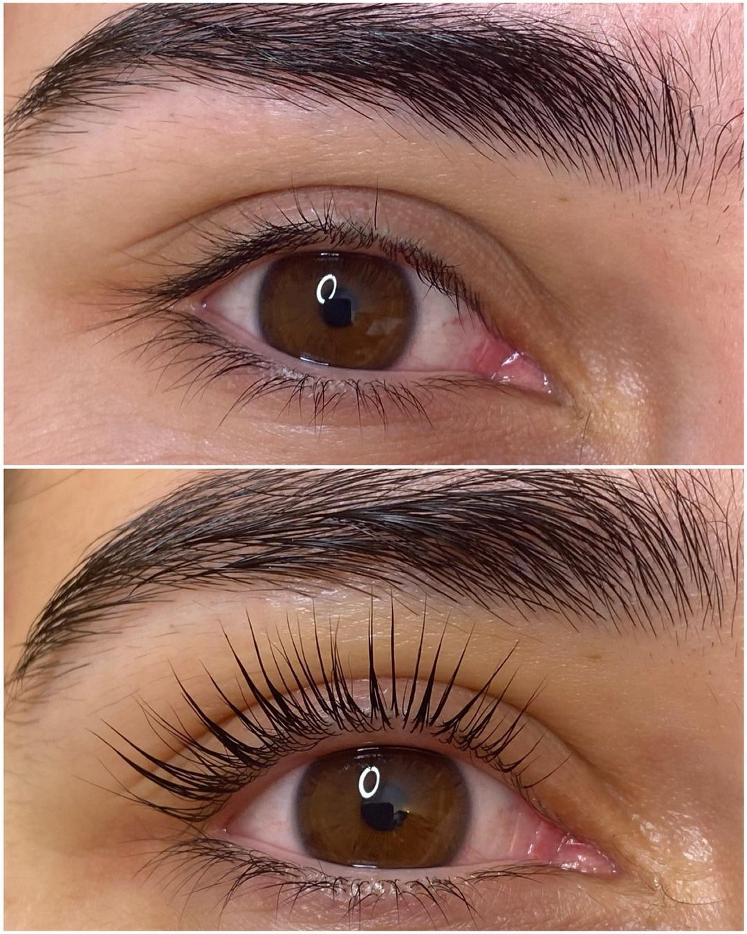 Browlifting Studio